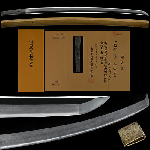 了戒 鎌倉中期 来国行子 精良な地鉄に映り立ち金筋長く頻りに掛る品格溢れる名品 一尺六寸九分